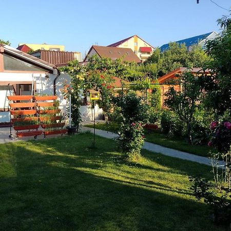 Casa Ienciu Sibiu Exterior foto