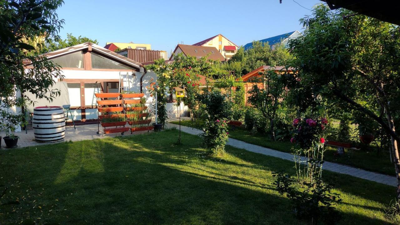 Casa Ienciu Sibiu Exterior foto