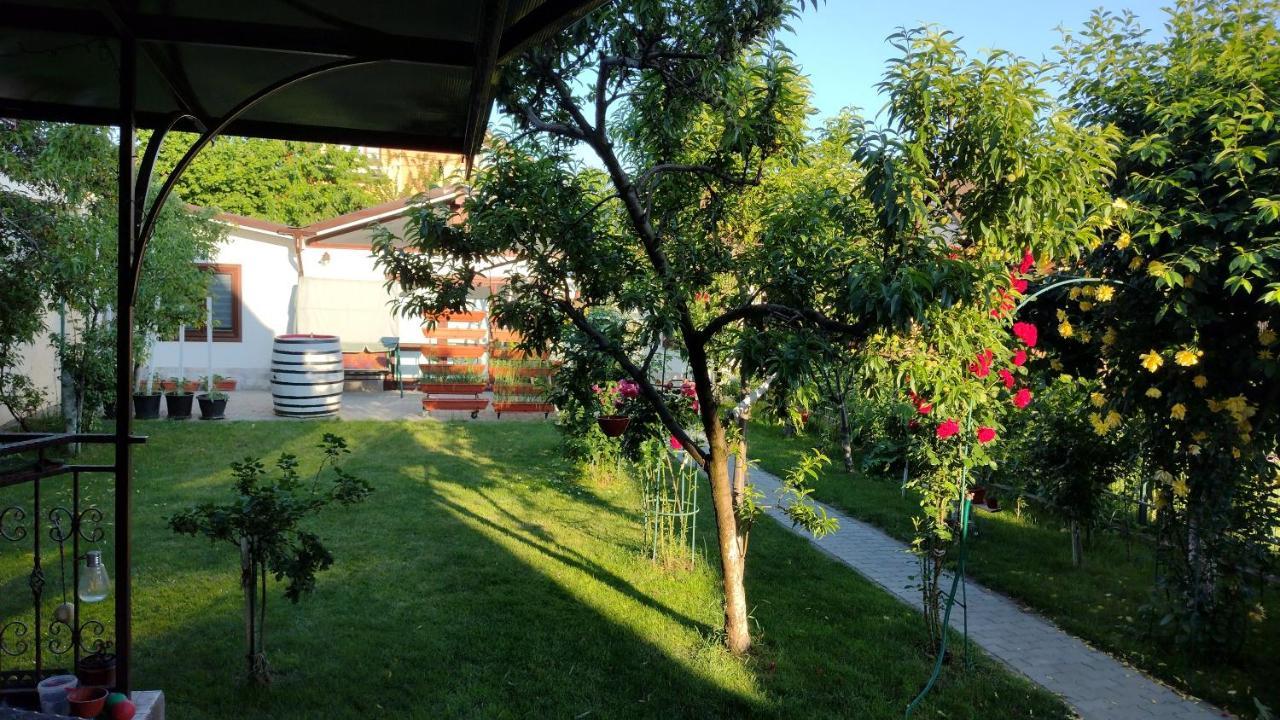 Casa Ienciu Sibiu Exterior foto